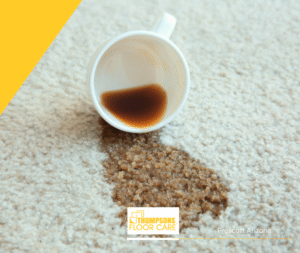 woolsafe organization ensuring excellence in carpet care with thompsons floor care