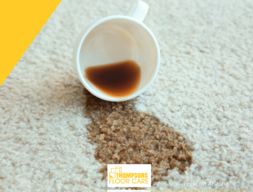 woolsafe organization ensuring excellence in carpet care with thompsons floor care